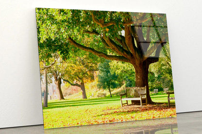 Kew Gardens Park Acrylic Glass Print Tempered Glass Wall Art 100% Made in Australia Ready to Hang