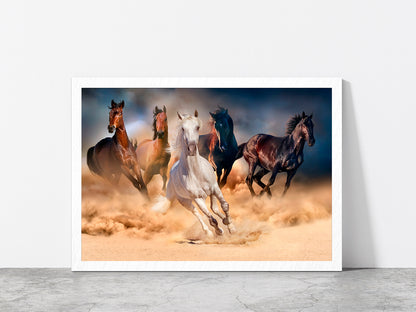 Horse Herd Run In Desert Sand Glass Framed Wall Art, Ready to Hang Quality Print Without White Border White