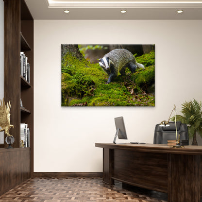 Black And White Striped European Badger Wall Art Decor 100% Australian Made