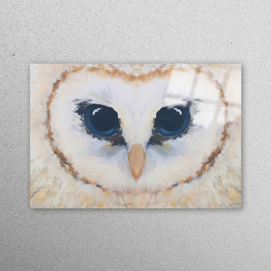 Abstract Owl Painting Acrylic Glass Print Tempered Glass Wall Art 100% Made in Australia Ready to Hang