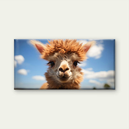 Cute Baby Alpaca Llama Close Up Farm Animal Wall Art Canvas Office Home Room Framed 120x60cm