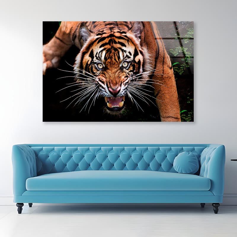 Wild Tiger Face Closeup  Acrylic Glass Print Tempered Glass Wall Art 100% Made in Australia Ready to Hang - Bella Home Decor