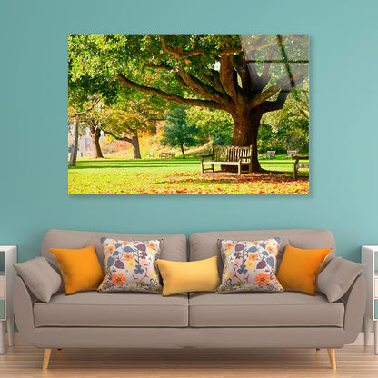 Kew Gardens Park Acrylic Glass Print Tempered Glass Wall Art 100% Made in Australia Ready to Hang