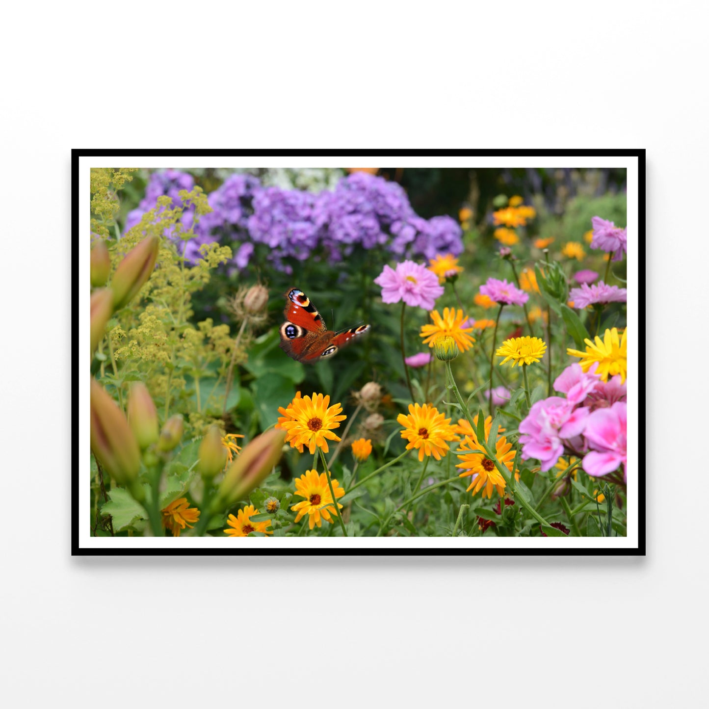 View of a Butterfly Perched On a Flower Home Decor Premium Quality Poster Print Choose Your Sizes