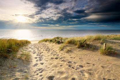 Sand Path to North Sea Beach in Sunshine, Holland Acrylic Glass Print Tempered Glass Wall Art 100% Made in Australia Ready to Hang