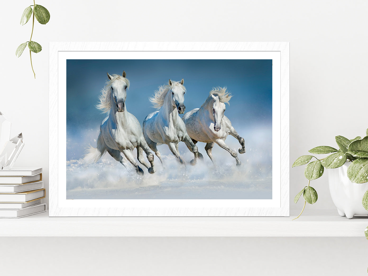 Horses Run Gallop In Snow Winter Glass Framed Wall Art, Ready to Hang Quality Print With White Border White