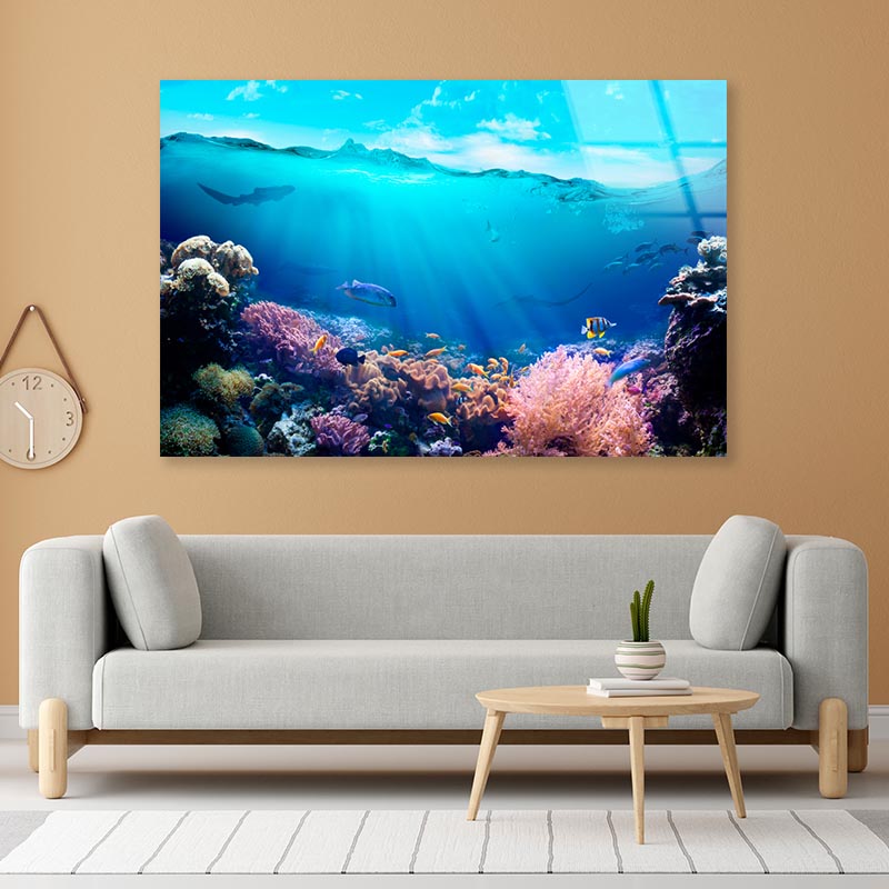 Underwater View of The Coral Reef Acrylic Glass Print Tempered Glass Wall Art 100% Made in Australia Ready to Hang