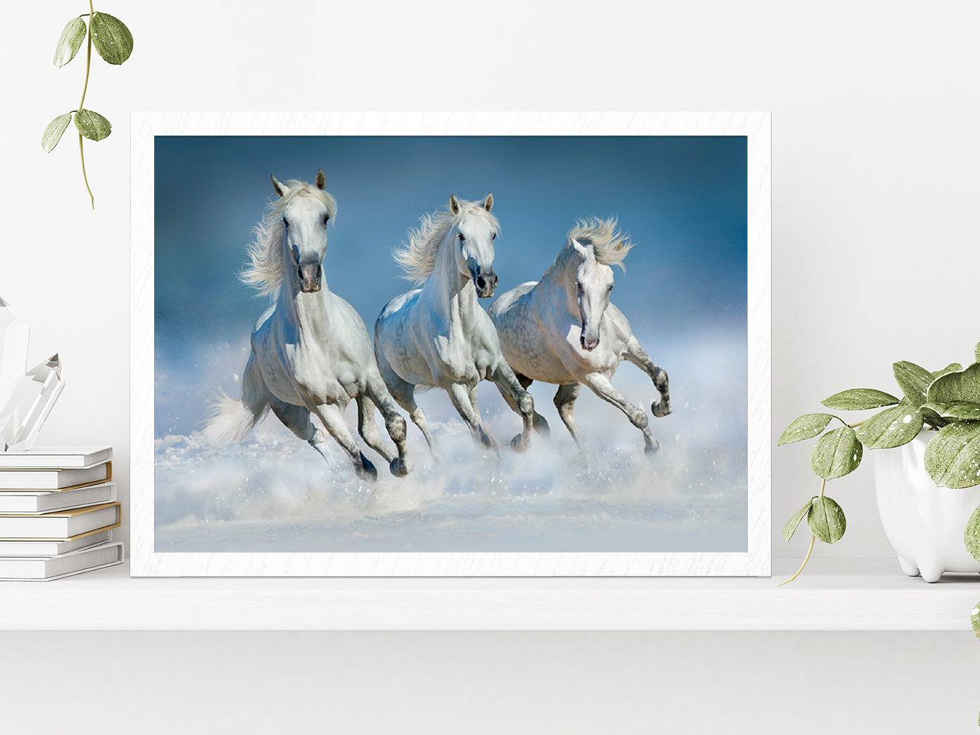 Horses Run Gallop In Snow Winter Glass Framed Wall Art, Ready to Hang Quality Print Without White Border White