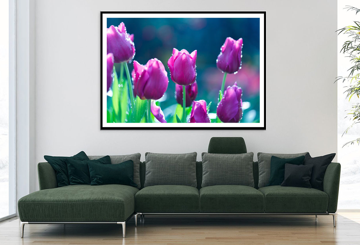 A Group of Lady Tulip Flowers Blooming Home Decor Premium Quality Poster Print Choose Your Sizes - Bella Home Decor