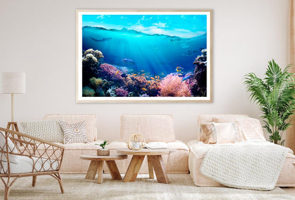 Underwater View of The Coral Reef Home Decor Premium Quality Poster Print Choose Your Sizes