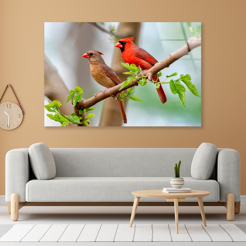 Northern Cardinal Pair in Spring  Acrylic Glass Print Tempered Glass Wall Art 100% Made in Australia Ready to Hang - Bella Home Decor