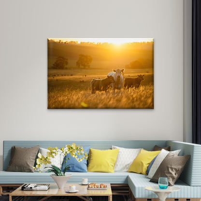 A Cow and Her Calves Standing in the Sun-Drenched Fields of the Australian Outback Wall Art Decor 100% Australian Made