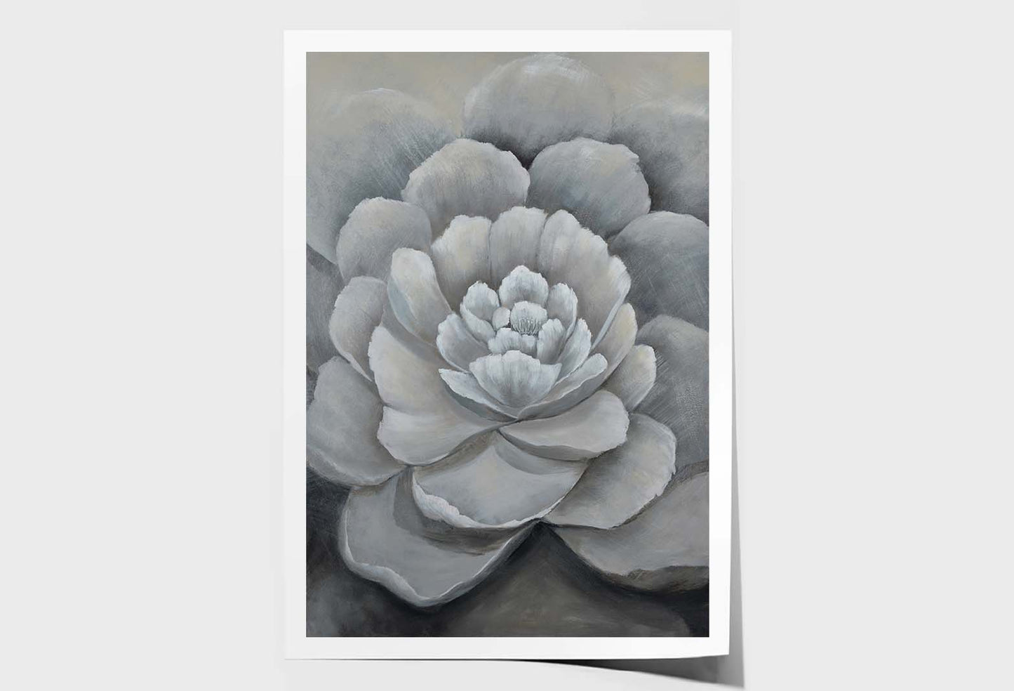 Gray Flower, Cool Colors, Blooming Wall Art Limited Edition High Quality Print