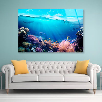 Underwater View of The Coral Reef Acrylic Glass Print Tempered Glass Wall Art 100% Made in Australia Ready to Hang