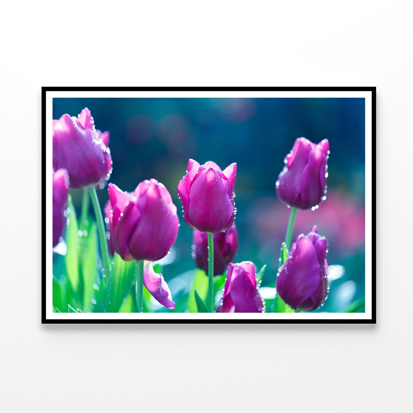A Group of Lady Tulip Flowers Blooming Home Decor Premium Quality Poster Print Choose Your Sizes - Bella Home Decor
