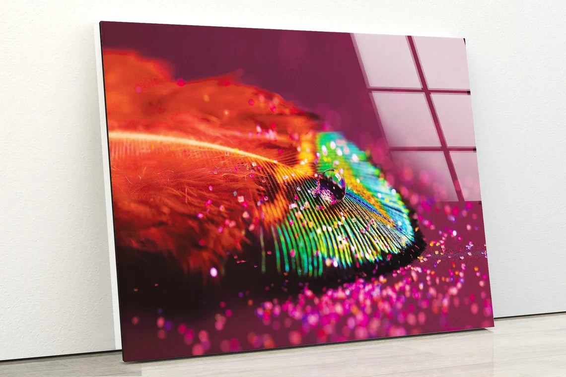 Waterdrops on Feather UV Direct Aluminum Print Australian Made Quality