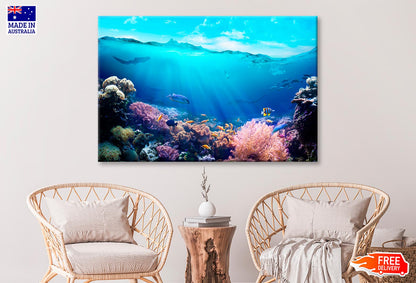 Underwater View of The Coral Reef Wall Art Decor 100% Australian Made