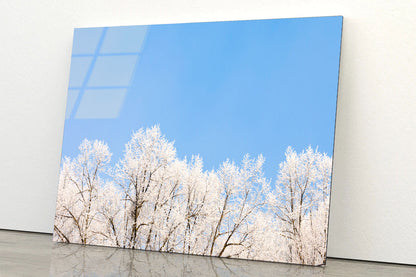 Covered Frost Acrylic Glass Print Tempered Glass Wall Art 100% Made in Australia Ready to Hang