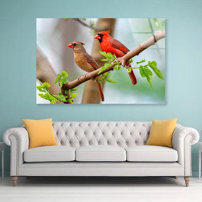 Northern Cardinal Pair in Spring  Acrylic Glass Print Tempered Glass Wall Art 100% Made in Australia Ready to Hang - Bella Home Decor