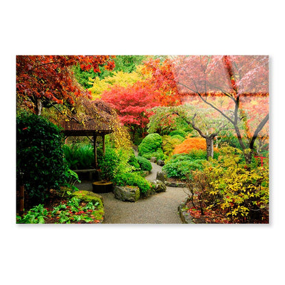 Autumnal Japanese Garden in Victoria Acrylic Glass Print Tempered Glass Wall Art 100% Made in Australia Ready to Hang