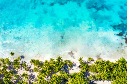 Palm Trees & Blue Sea Aerial View Photograph 90x60cm Print 100% Australian Made