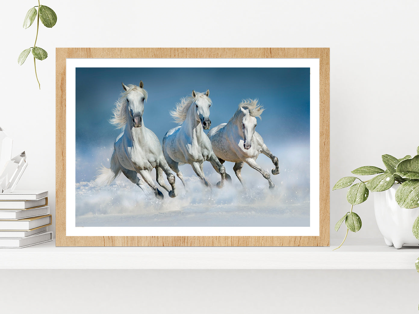 Horses Run Gallop In Snow Winter Glass Framed Wall Art, Ready to Hang Quality Print With White Border Oak