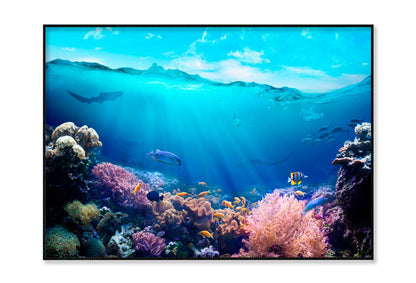 Underwater View of The Coral Reef Home Decor Premium Quality Poster Print Choose Your Sizes