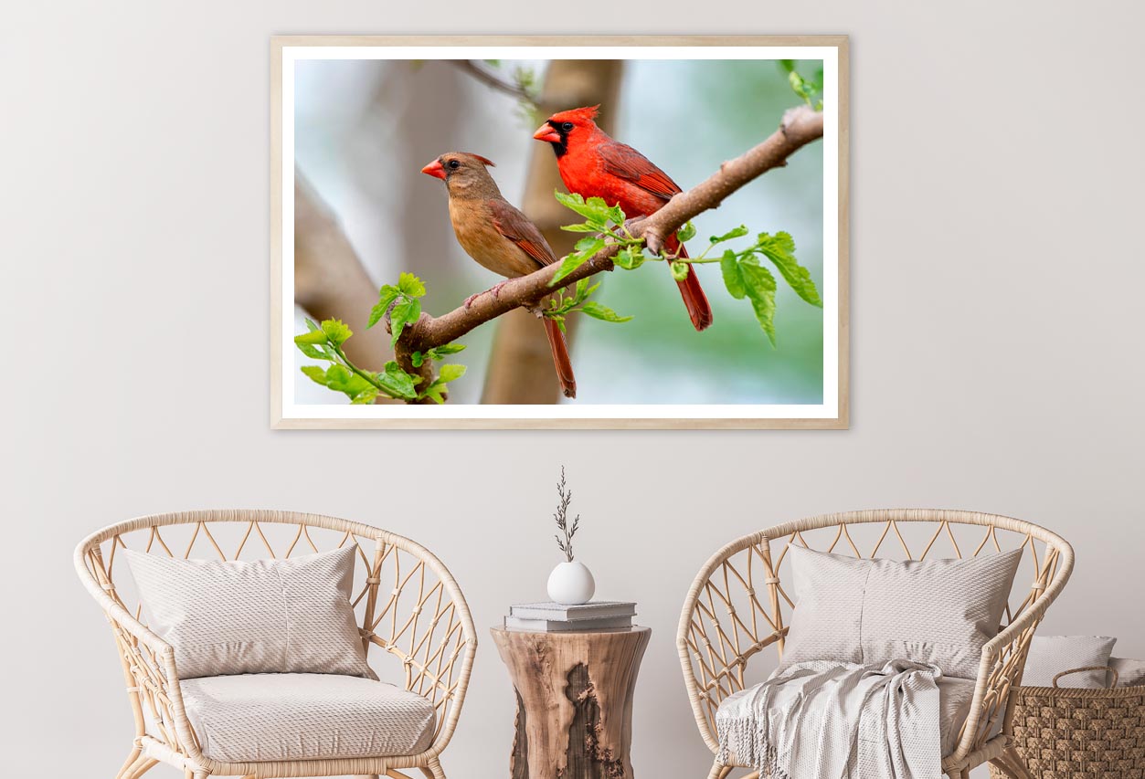 Northern Cardinal Pair in Spring Home Decor Premium Quality Poster Print Choose Your Sizes