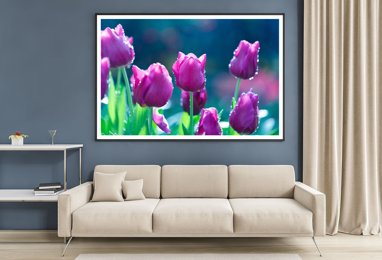 A Group of Lady Tulip Flowers Blooming Home Decor Premium Quality Poster Print Choose Your Sizes - Bella Home Decor