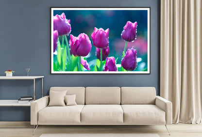 A Group of Lady Tulip Flowers Blooming Home Decor Premium Quality Poster Print Choose Your Sizes - Bella Home Decor