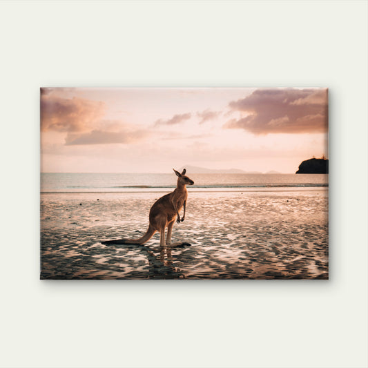 Wild Kangaroo Beach Sunrise Photography Wall Art Decor 100% Australian Made