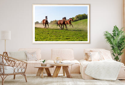 Three Horses at Full Gallop View Home Decor Premium Quality Poster Print Choose Your Sizes