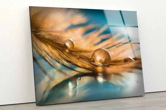 Waterdrop on Feather UV Direct Aluminum Print Australian Made Quality