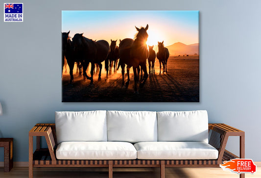 Horses Walking Across a Field Wall Art Decor 100% Australian Made