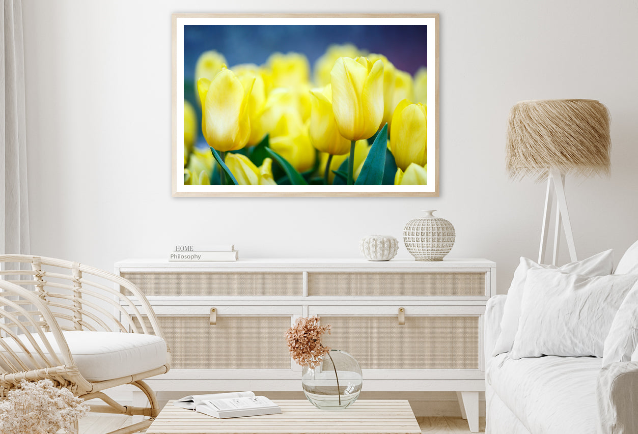 A Group of Yellow Flowers Known As Lady Tulips Home Decor Premium Quality Poster Print Choose Your Sizes