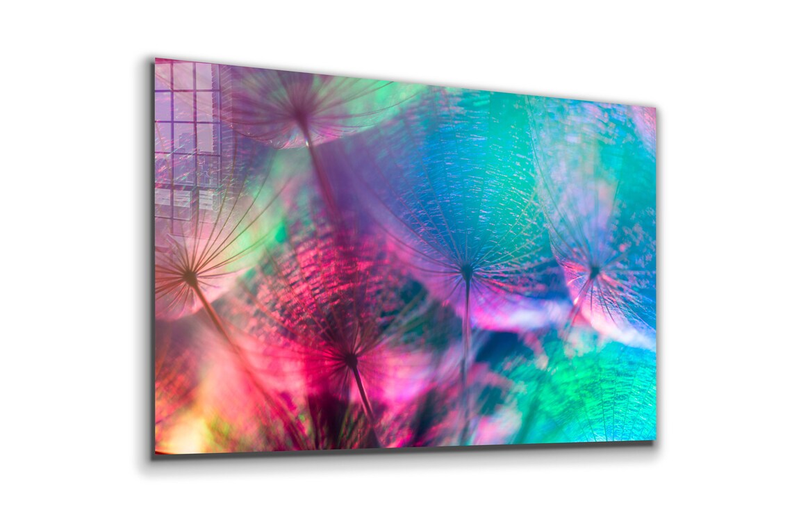 Dandelion Abstract UV Direct Aluminum Print Australian Made Quality