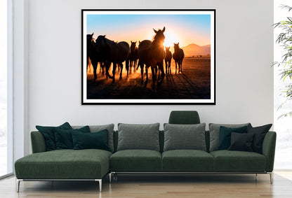 Horses Walking & Sunset Sky View Home Decor Premium Quality Poster Print Choose Your Sizes