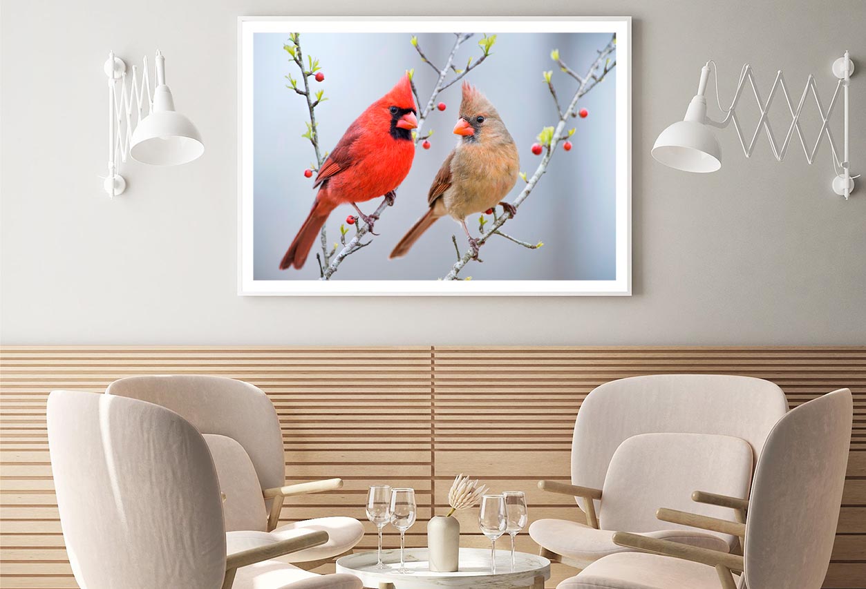 Red Bird or Northern Cardinal Mates Perched on Holly Branches Home Decor Premium Quality Poster Print Choose Your Sizes - Bella Home Decor