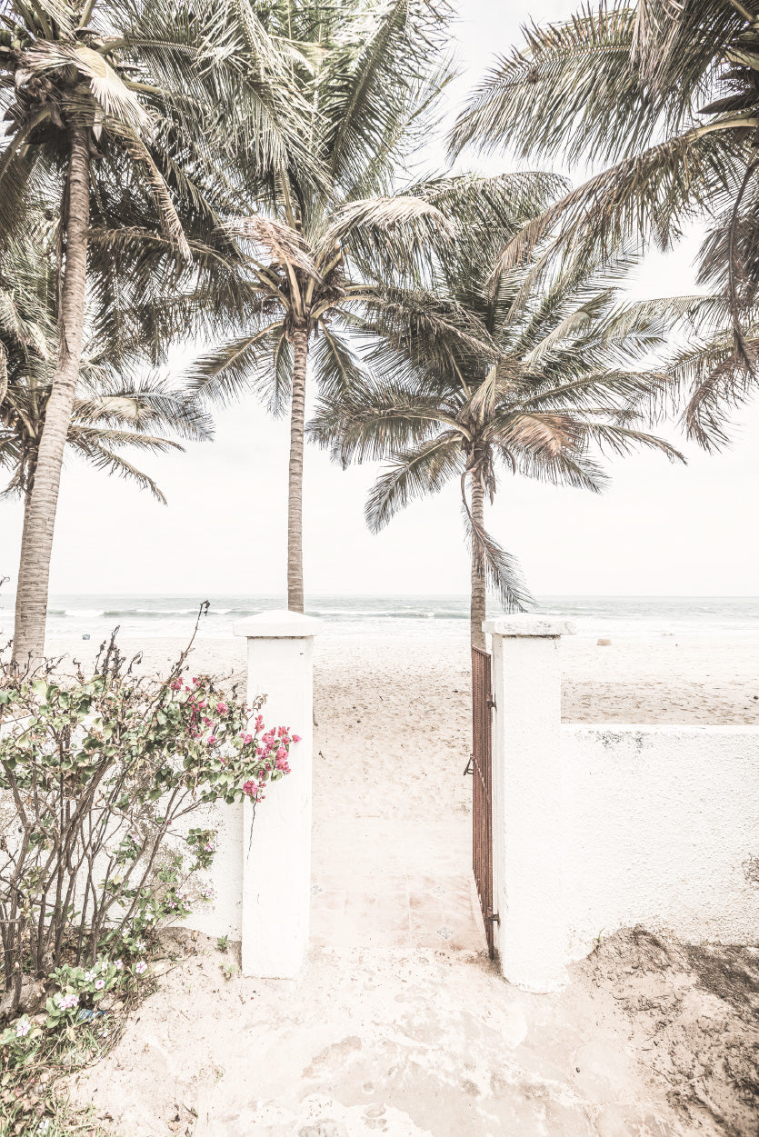 Palm Trees near Gambia Beach Photograph Glass Framed Wall Art, Ready to Hang Quality Print