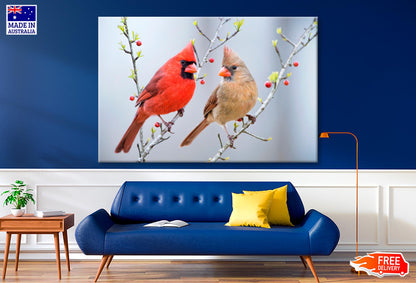 Red Bird or Northern Cardinal Mates Perched on Holly Branches  Wall Art Decor 100% Australian Made - Bella Home Decor