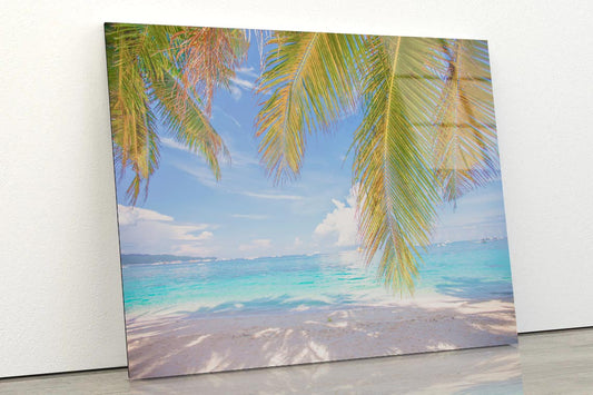 Coconut Tree Shade in Beach Acrylic Glass Print Tempered Glass Wall Art 100% Made in Australia Ready to Hang