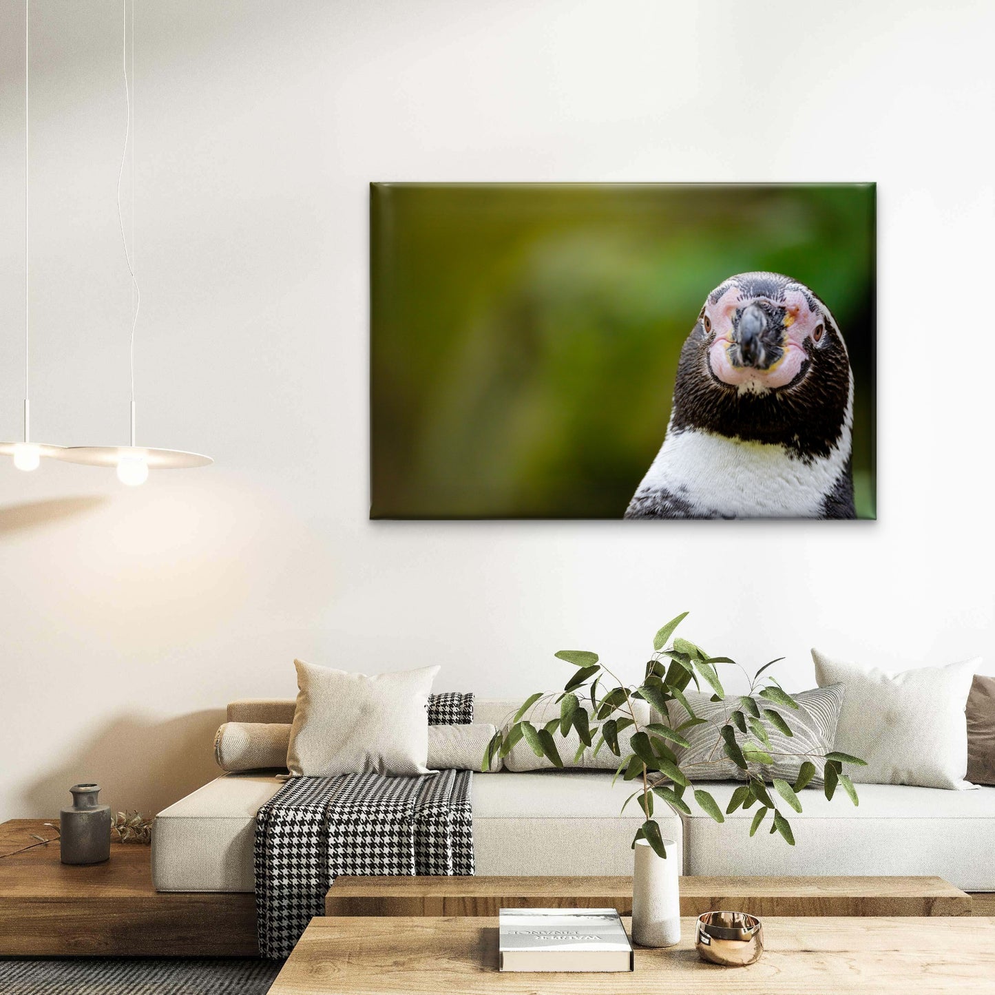 South American Humboldt Penguin Spheniscus Humboldti Wall Art Decor 100% Australian Made