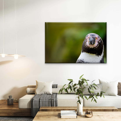 South American Humboldt Penguin Spheniscus Humboldti Wall Art Decor 100% Australian Made