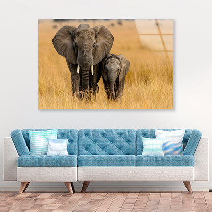 An Elephant and Its Calf Standing In a Grassland Acrylic Glass Print Tempered Glass Wall Art 100% Made in Australia Ready to Hang