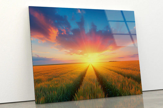 Rainbow with Wheat Fields at Sunset Acrylic Glass Print Tempered Glass Wall Art 100% Made in Australia Ready to Hang