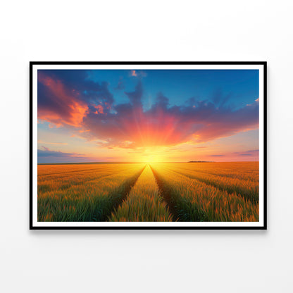 Rainbow with Wheat Fields at Sunset Home Decor Premium Quality Poster Print Choose Your Sizes - Bella Home Decor
