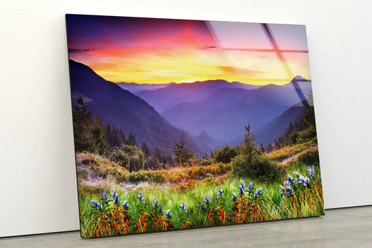 Stunning Sunset Nature UV Direct Aluminum Print Australian Made Quality