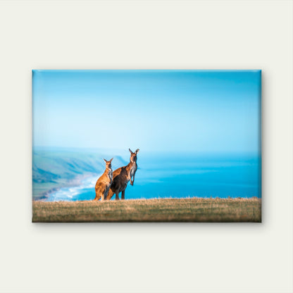 Two Kangaroos Standing Atop the Sea Facing Cliffs of Kangaroo Island Australia Wall Art Decor 100% Australian Made