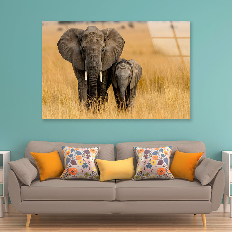 An Elephant and Its Calf Standing In a Grassland Acrylic Glass Print Tempered Glass Wall Art 100% Made in Australia Ready to Hang