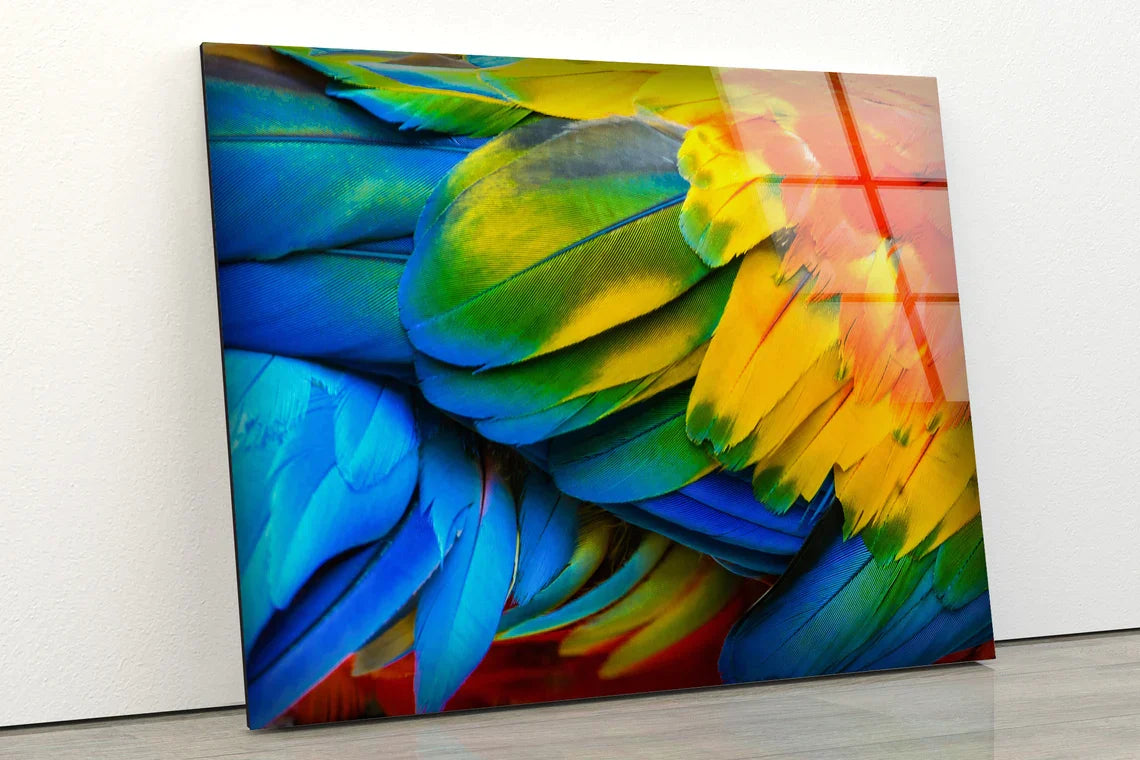 Colorful Feathers View UV Direct Aluminum Print Australian Made Quality